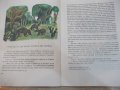 Книга "Приказки от тропическата гора-Орасио Кирога"-64 стр., снимка 5