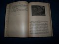 " Тереза"- роман, първо издание 1906г. , снимка 2