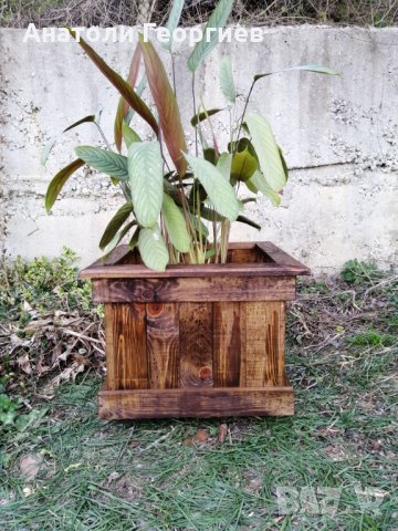 Дървени саксии, (кашпи) за растения, снимка 11 - Саксии и кашпи - 24911809