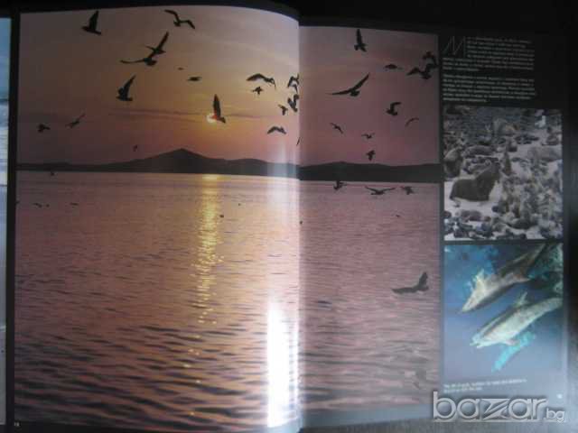 Книга "Живой океан - Н.Калинин" - 240 стр., снимка 3 - Специализирана литература - 7673655