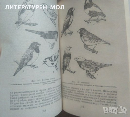 Декоративни птици. Николай Боев 1986 г., снимка 3 - Специализирана литература - 26176615