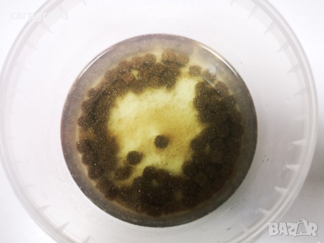 Рибни пелети  Coppens разтворими 1кг, снимка 4 - Въдици - 25165430