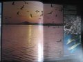 Книга "Живой океан - Н.Калинин" - 240 стр., снимка 3