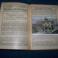 "Инструментите на оркестъра" стара немска книга от 1913г., снимка 9 - Чуждоезиково обучение, речници - 15347446
