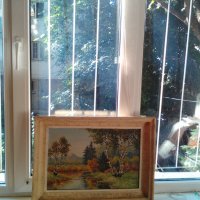 продавам оригинална картина с маслени бои за 50 лв, снимка 2 - Картини - 25834631