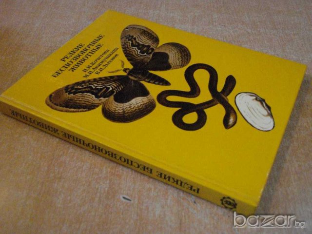 Книга "Редкие беспозвоночные животные-Н.Кочетова" - 208 стр., снимка 7 - Енциклопедии, справочници - 7905806
