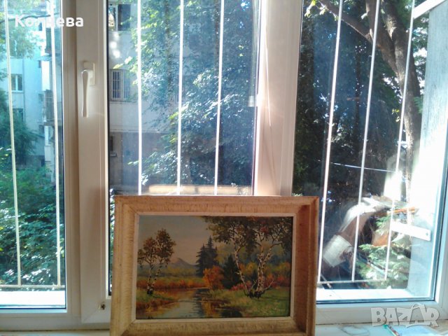 продавам оригинална картина с маслени бои за 50 лв, снимка 2 - Картини - 25834631
