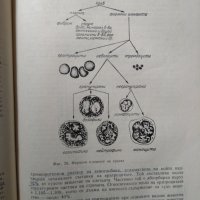 Физиология на селскостопанските животни, снимка 2 - Специализирана литература - 25223158