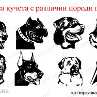 Табела за куче, различни породи., снимка 13 - За кучета - 20486681