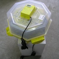 Автоматични Румънски инкубатори , снимка 13 - За птици - 21428195