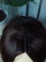 Нова права тъмно кестенява перука без бретон - 35 см. - мод.52, снимка 2