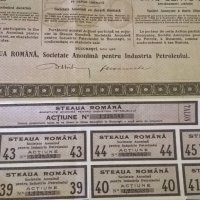 Акция за 500 леи | Steaua Romana | 1925г., снимка 5 - Нумизматика и бонистика - 25239813