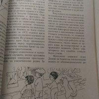 Енциклопедия на заблудите за секса, снимка 4 - Специализирана литература - 22408621
