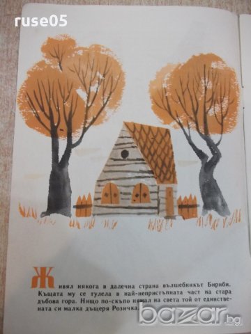Книга "Бириби и вълшебната сила - Йовко Киров" - 16 стр., снимка 2 - Детски книжки - 19173866