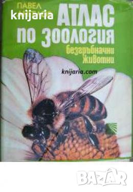 Атлас по зоология: Безгръбначни животни 