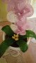 Орхидея от мъниста, снимка 6