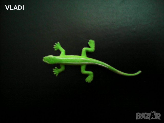 Зелен гущер, снимка 1