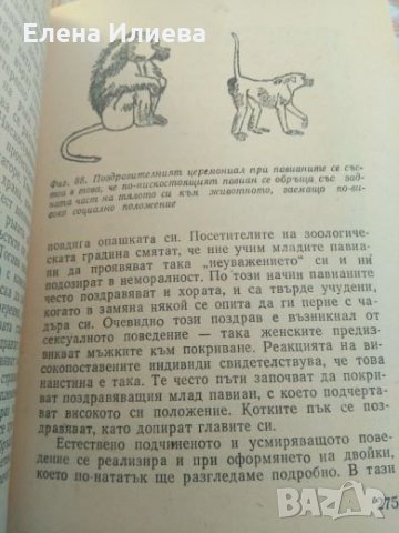 Необикновеното при животните - Зденек Веселовски, снимка 4 - Специализирана литература - 23833730