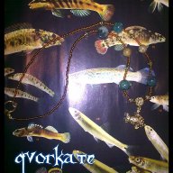 Колие рибка, снимка 1 - Колиета, медальони, синджири - 13396548