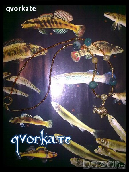 Колие рибка, снимка 1