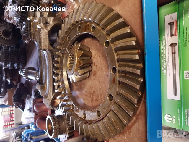 Корона пиньон Болгар