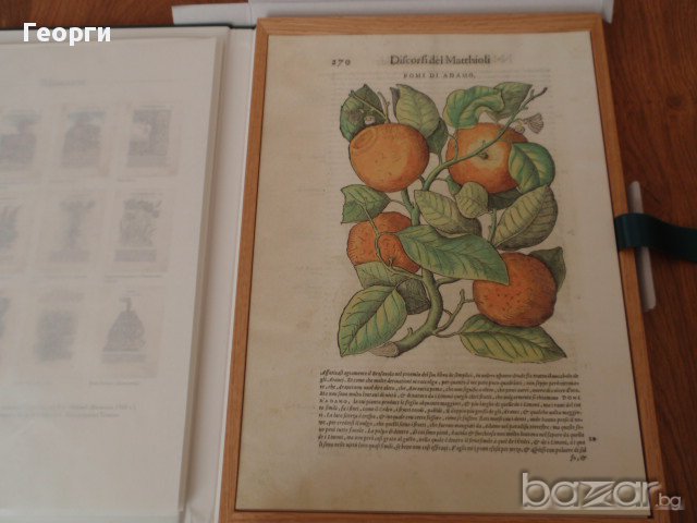 12 колекционерски щампи "I DISCORSI DI P.A. MATTIOLI", снимка 4 - Антикварни и старинни предмети - 16797637