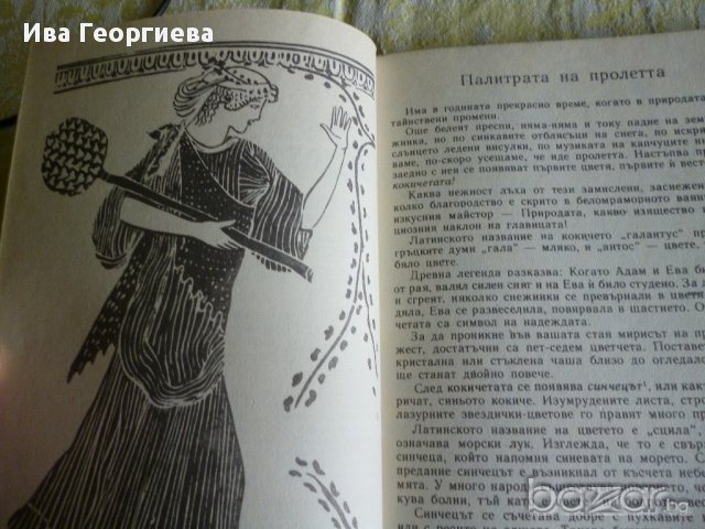 Дъга от цветя - Евгения Черней, Леонила Ширева, снимка 9 - Художествена литература - 13663003