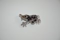 Сребърна жаба със сапфир