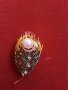 Брошки различни модели, снимка 8