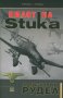Пилот на Stuka, снимка 1 - Други - 23829138