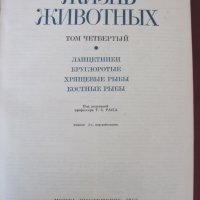 1983 год. Книга за животните и рибите Русия, снимка 4 - Други - 24608150