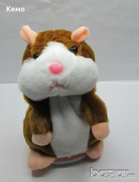  Сладко говорещ хамстер , снимка 1