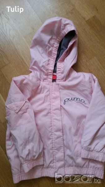 Яке Puma 3 г., снимка 1