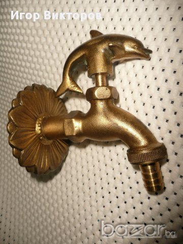 Канела 1/2, снимка 4 - Градински цветя и растения - 11800249