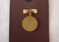 Емайлирана значка "За заслуга". , снимка 4