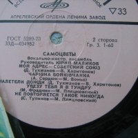 Грамофонни плочи - руски и цигански песни , снимка 9 - Грамофонни плочи - 22383819