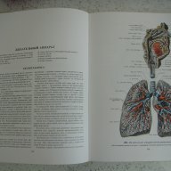 Атласи по анатомия на човека Синелников, снимка 4 - Енциклопедии, справочници - 16689471