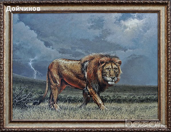 ”Приближава бурята” - лъв, картина, живопис, снимка 1 - Картини - 20960821
