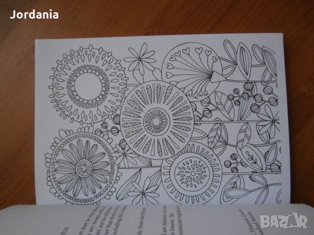 Книги за оцветяване и релаксиране, снимка 9 - Други - 25901408