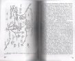 Иманярски и хайдушки предания. Част 1 / Иван Бубалов, снимка 5