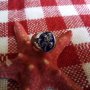 Стар  руски сребърен пръстен с емайл, снимка 2