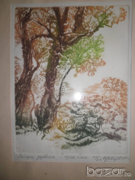Подписана картина"Стари дървета"-суха игла-1985година, снимка 1