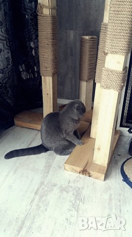 Масивна драскалка за котки, снимка 3 - За котки - 26112192