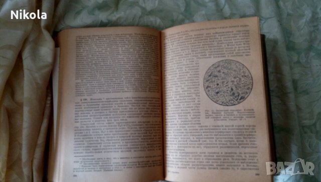 Описательная петрография автор К.Розенбуш 1934 г, снимка 11 - Антикварни и старинни предмети - 25029695