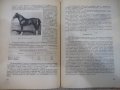 Книга "Основи на животновъдството - Въто Груев" - 424 стр., снимка 5