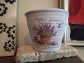 керамична саксия с лавандула , снимка 1 - Градински цветя и растения - 22000448