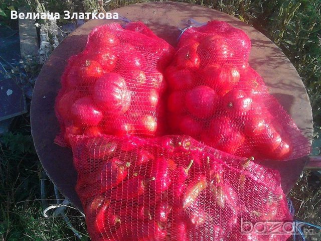 Био тор от червен калифорнийски червей 3л, снимка 6 - Сортови семена и луковици - 20682350