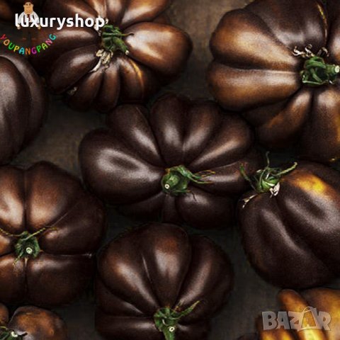 Черни домати, бонсай, органични, вкусни зеленчуци, растения за дома, градина, редки зеленчукови сорт, снимка 2 - Сортови семена и луковици - 24818956