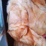 Палто от 100% естествена кожа от лисица, снимка 14 - Палта, манта - 11572087