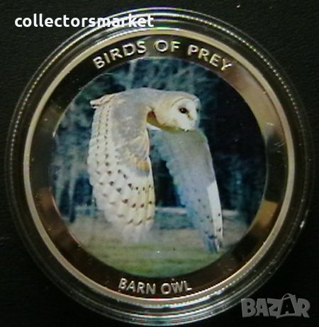 10 квача 2010(Barn owl), Малави, снимка 1